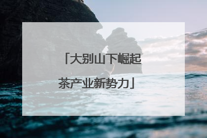 大别山下崛起茶产业新势力