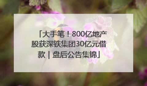 大手笔！800亿地产股获深铁集团30亿元借款｜盘后公告集锦