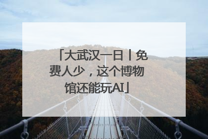 大武汉一日丨免费人少，这个博物馆还能玩AI