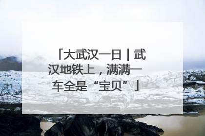 大武汉一日｜武汉地铁上，满满一车全是“宝贝”