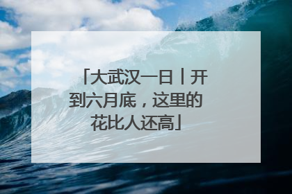 大武汉一日︱开到六月底，这里的花比人还高
