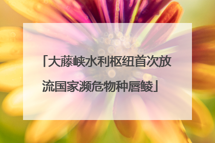 大藤峡水利枢纽首次放流国家濒危物种唇鲮