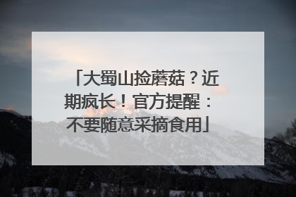 大蜀山捡蘑菇？近期疯长！官方提醒：不要随意采摘食用