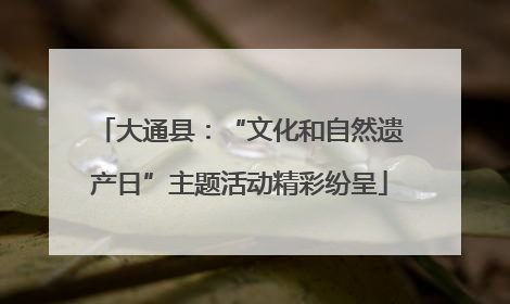 大通县：“文化和自然遗产日”主题活动精彩纷呈