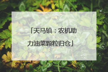 天马镇：农机助力油菜颗粒归仓