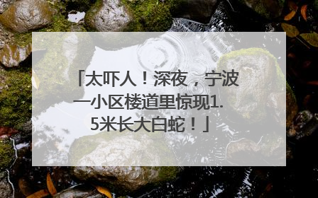 太吓人！深夜，宁波一小区楼道里惊现1.5米长大白蛇！