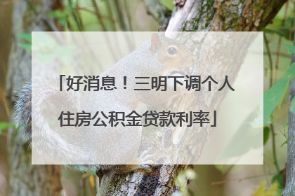 好消息！三明下调个人住房公积金贷款利率