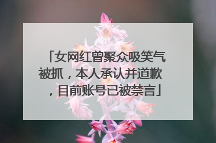 女网红曾聚众吸笑气被抓，本人承认并道歉，目前账号已被禁言