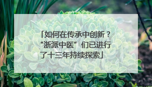 如何在传承中创新？“浙派中医”们已进行了十三年持续探索