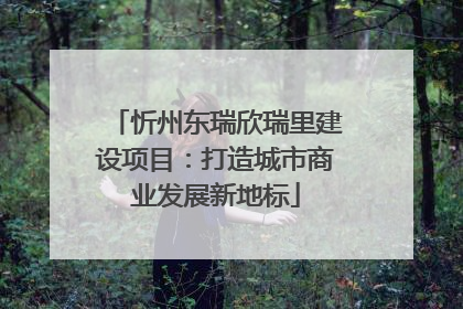 忻州东瑞欣瑞里建设项目：打造城市商业发展新地标