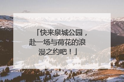 快来泉城公园，赴一场与荷花的浪漫之约吧！