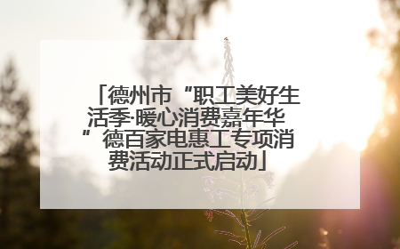 德州市“职工美好生活季·暖心消费嘉年华”德百家电惠工专项消费活动正式启动