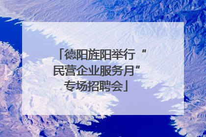 德阳旌阳举行“民营企业服务月”专场招聘会