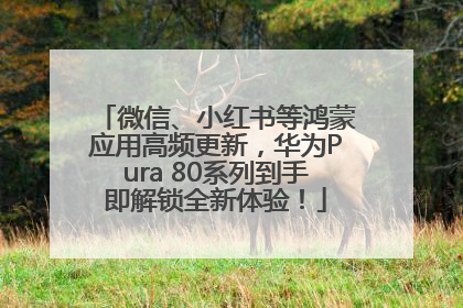 微信、小红书等鸿蒙应用高频更新，华为Pura 80系列到手即解锁全新体验！