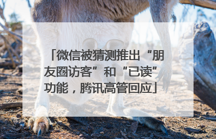 微信被猜测推出“朋友圈访客”和“已读”功能，腾讯高管回应
