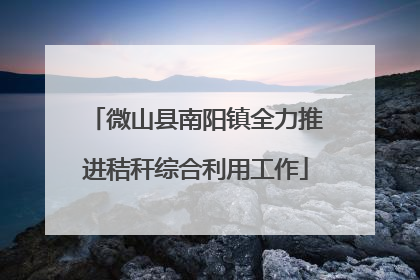 微山县南阳镇全力推进秸秆综合利用工作