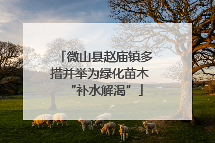 微山县赵庙镇多措并举为绿化苗木“补水解渴”