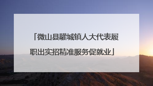 微山县驩城镇人大代表履职出实招精准服务促就业