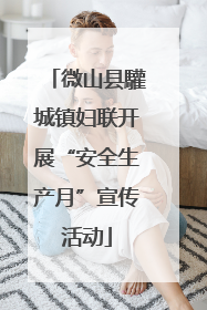微山县驩城镇妇联开展“安全生产月”宣传活动