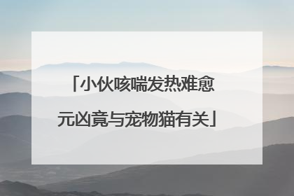 小伙咳喘发热难愈 元凶竟与宠物猫有关