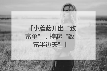 小蘑菇开出“致富伞”，撑起“致富半边天”