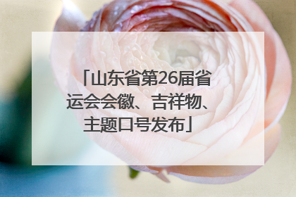 山东省第26届省运会会徽、吉祥物、主题口号发布