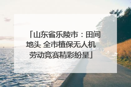 山东省乐陵市：田间地头 全市植保无人机劳动竞赛精彩纷呈