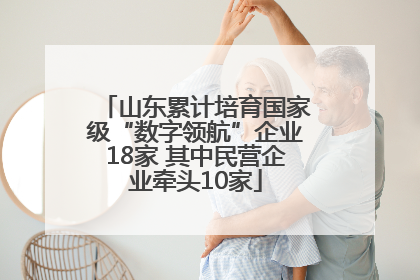 山东累计培育国家级“数字领航”企业18家 其中民营企业牵头10家