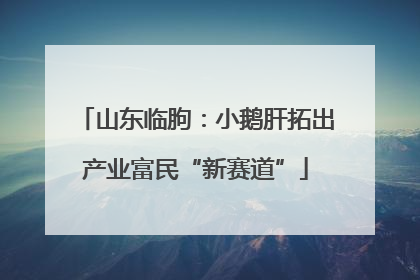 山东临朐：小鹅肝拓出产业富民“新赛道”