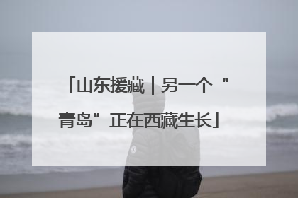 山东援藏｜另一个“青岛”正在西藏生长