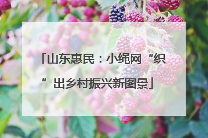 山东惠民：小绳网“织”出乡村振兴新图景