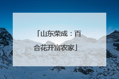 山东荣成：百合花开富农家