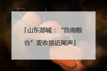 山东郯城：“鲁南粮仓”麦收接近尾声