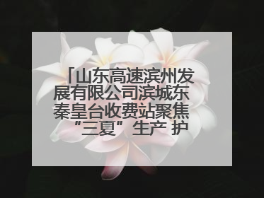 山东高速滨州发展有限公司滨城东秦皇台收费站聚焦“三夏”生产 护航农机畅行“丰收路”