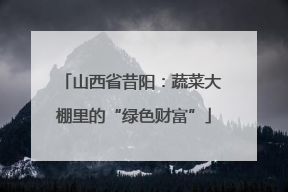 山西省昔阳：蔬菜大棚里的“绿色财富”