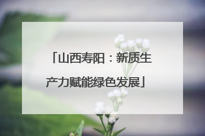 山西寿阳：新质生产力赋能绿色发展