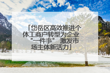 岱岳区高效推进个体工商户转型为企业“一件事” 激发市场主体新活力
