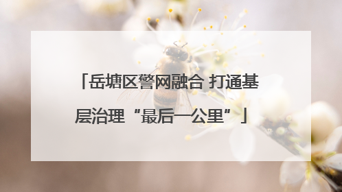 岳塘区警网融合 打通基层治理“最后一公里”