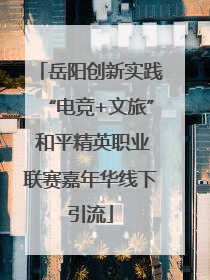 岳阳创新实践“电竞+文旅” 和平精英职业联赛嘉年华线下引流