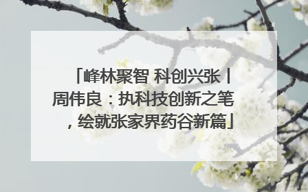 峰林聚智 科创兴张丨周伟良：执科技创新之笔，绘就张家界药谷新篇