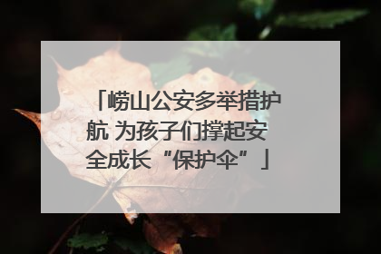 崂山公安多举措护航 为孩子们撑起安全成长“保护伞”