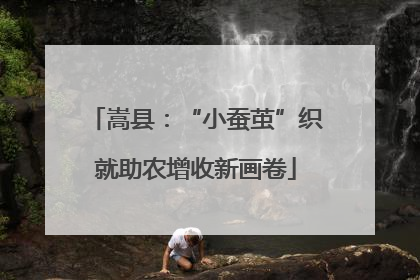 嵩县：“小蚕茧”织就助农增收新画卷