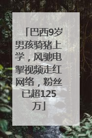 巴西9岁男孩骑猪上学，风驰电掣视频走红网络，粉丝已超125万