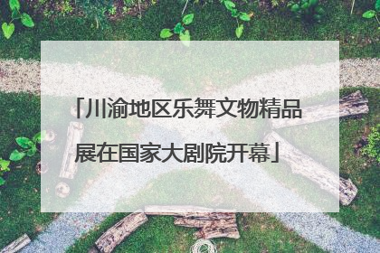 川渝地区乐舞文物精品展在国家大剧院开幕