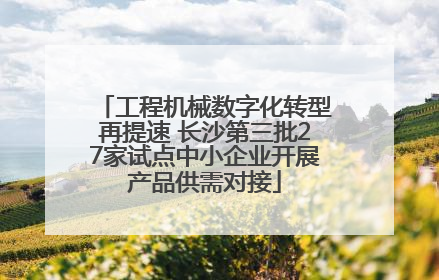 工程机械数字化转型再提速 长沙第三批27家试点中小企业开展产品供需对接