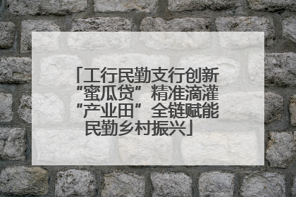 工行民勤支行创新“蜜瓜贷”精准滴灌“产业田”全链赋能民勤乡村振兴