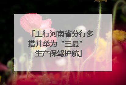 工行河南省分行多措并举为“三夏” 生产保驾护航