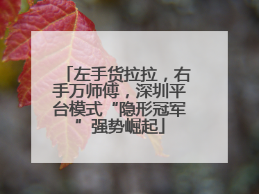 左手货拉拉，右手万师傅，深圳平台模式“隐形冠军”强势崛起