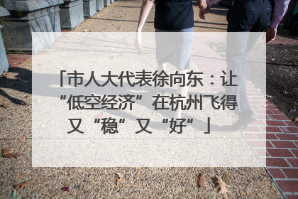市人大代表徐向东：让“低空经济”在杭州飞得又“稳”又“好”