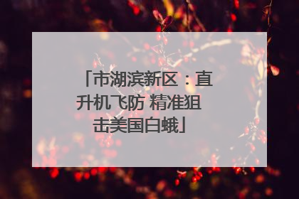 市湖滨新区：直升机飞防 精准狙击美国白蛾